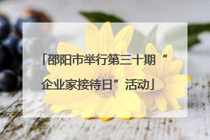 邵阳市举行第三十期“企业家接待日”活动