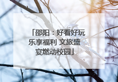 邵阳：好看好玩乐享福利 文旅盛宴燃动校园