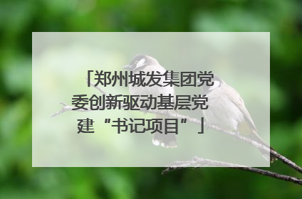 郑州城发集团党委创新驱动基层党建“书记项目”