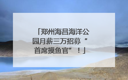 郑州海昌海洋公园月薪三万招募“首席摸鱼官”！