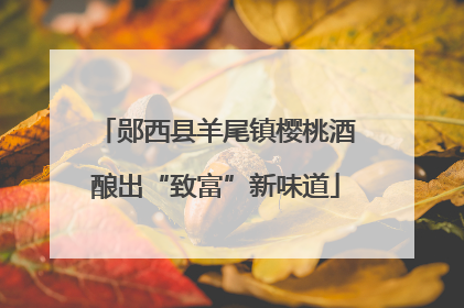 郧西县羊尾镇樱桃酒酿出“致富”新味道