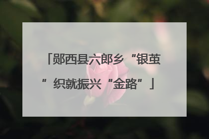 郧西县六郎乡“银茧”织就振兴“金路”