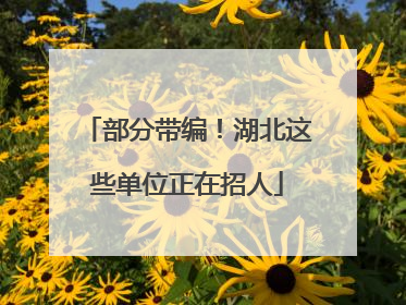 部分带编！湖北这些单位正在招人