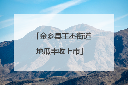 金乡县王丕街道地瓜丰收上市