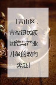 青山区：青福镇民族团结与产业升级的双向奔赴