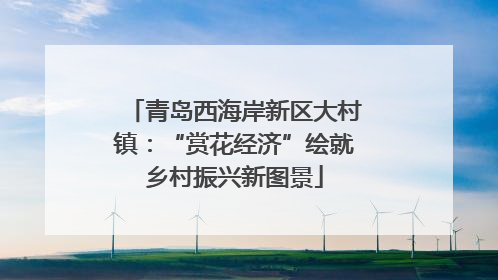 青岛西海岸新区大村镇：“赏花经济”绘就乡村振兴新图景
