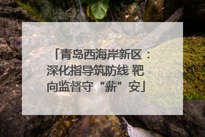 青岛西海岸新区：深化指导筑防线 靶向监督守“薪”安