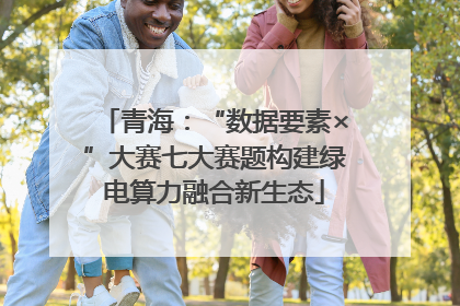 青海：“数据要素×”大赛七大赛题构建绿电算力融合新生态
