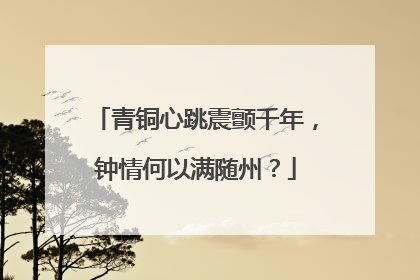 青铜心跳震颤千年，钟情何以满随州？