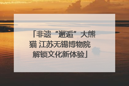 非遗“邂逅”大熊猫 江苏无锡博物院解锁文化新体验