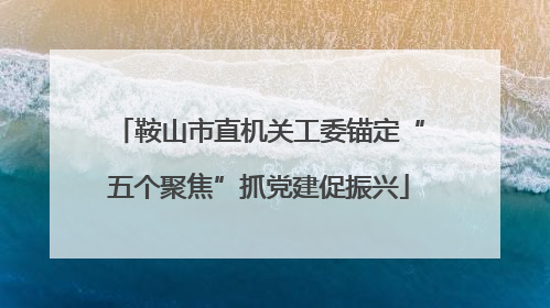 鞍山市直机关工委锚定“五个聚焦”抓党建促振兴