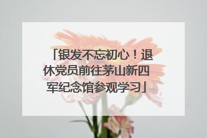 银发不忘初心！退休党员前往茅山新四军纪念馆参观学习