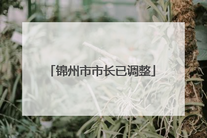 锦州市市长已调整