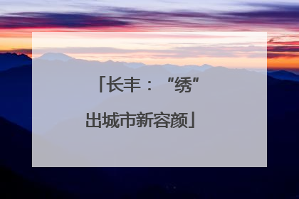 长丰：“绣”出城市新容颜