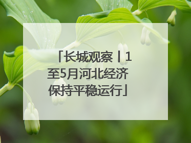 长城观察丨1至5月河北经济保持平稳运行