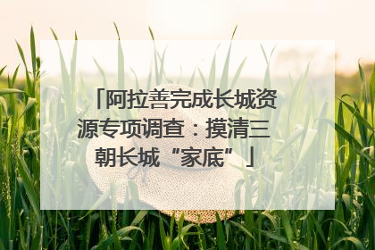 阿拉善完成长城资源专项调查：摸清三朝长城“家底”