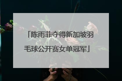 陈雨菲夺得新加坡羽毛球公开赛女单冠军