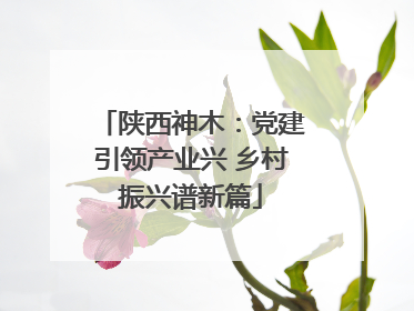 陕西神木：党建引领产业兴 乡村振兴谱新篇