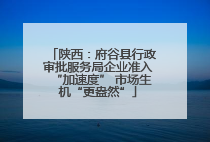 陕西：府谷县行政审批服务局企业准入“加速度” 市场生机“更盎然”