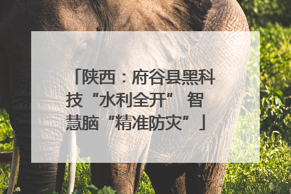 陕西：府谷县黑科技“水利全开” 智慧脑“精准防灾”