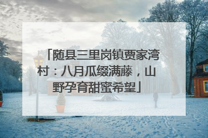 随县三里岗镇贾家湾村：八月瓜缀满藤，山野孕育甜蜜希望