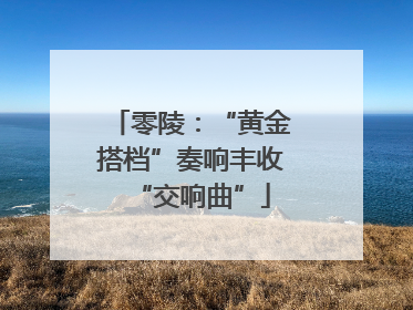 零陵：“黄金搭档”奏响丰收“交响曲”