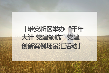 雄安新区举办“千年大计 党建领航”党建创新案例场景汇活动