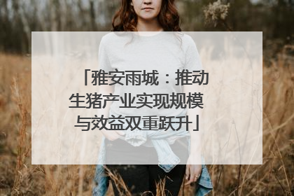 雅安雨城：推动生猪产业实现规模与效益双重跃升
