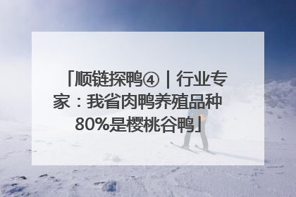 顺链探鸭④｜行业专家：我省肉鸭养殖品种80%是樱桃谷鸭
