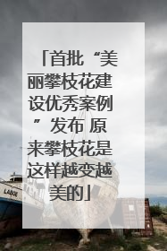 首批“美丽攀枝花建设优秀案例”发布 原来攀枝花是这样越变越美的