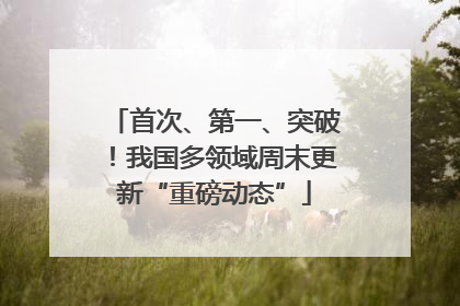 首次、第一、突破！我国多领域周末更新“重磅动态”