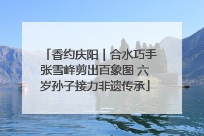香约庆阳｜合水巧手张雪峰剪出百象图 六岁孙子接力非遗传承