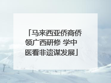 马来西亚侨商侨领广西研修 学中医看非遗谋发展