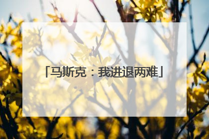 马斯克：我进退两难