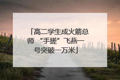 高二学生成火箭总师 “手搓”飞燕一号突破一万米