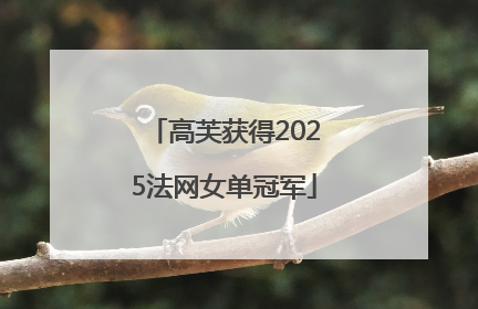 高芙获得2025法网女单冠军