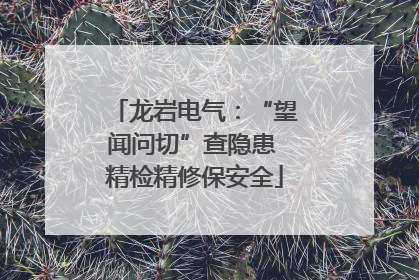 龙岩电气：“望闻问切”查隐患 精检精修保安全