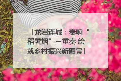 龙岩连城：奏响“稻薯烟”三重奏 绘就乡村振兴新图景