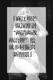 麻江坝芒：纵深推进“两清两改两治理”绘就乡村振兴新图景
