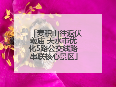 麦积山往返伏羲庙 天水市优化5路公交线路串联核心景区