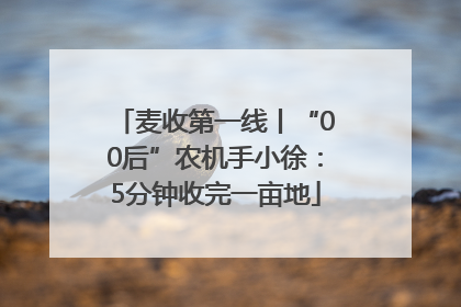 麦收第一线丨“00后”农机手小徐：5分钟收完一亩地