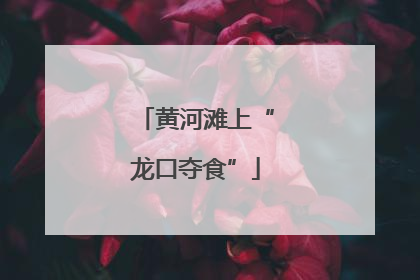 黄河滩上“龙口夺食”