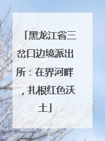 黑龙江省三岔口边境派出所：在界河畔，扎根红色沃土
