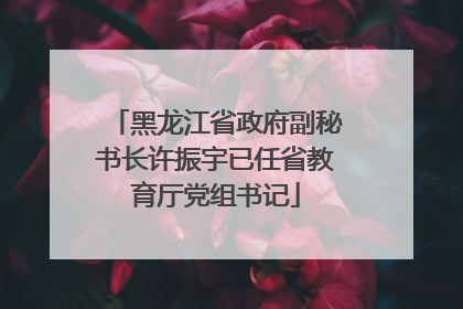 黑龙江省政府副秘书长许振宇已任省教育厅党组书记
