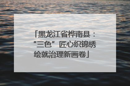 黑龙江省桦南县：“三色”匠心织锦绣 绘就治理新画卷
