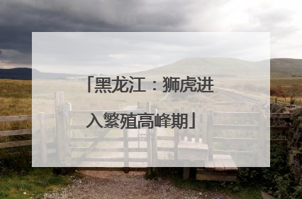 黑龙江：狮虎进入繁殖高峰期
