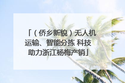 （侨乡新貌）无人机运输、智能分拣 科技助力浙江杨梅产销