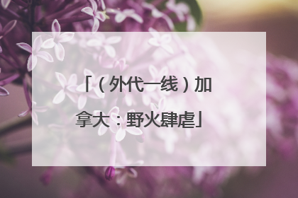 （外代一线）加拿大：野火肆虐