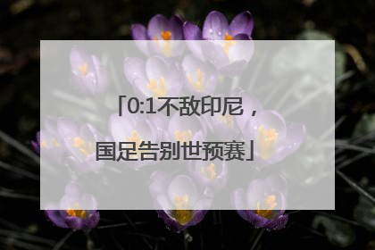 0:1不敌印尼，国足告别世预赛