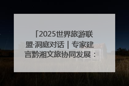 2025世界旅游联盟·洞庭对话｜专家建言黔湘文旅协同发展：聚焦产品稀缺性 深化区域经验共享